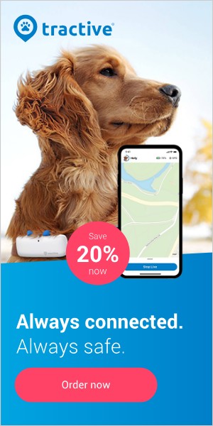 Tractive Dog Tracker 300×600 banner, earlier work by our team (original artwork)